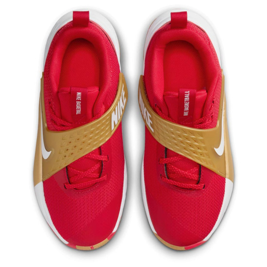 Nike Team Hustle D 12 (GS)